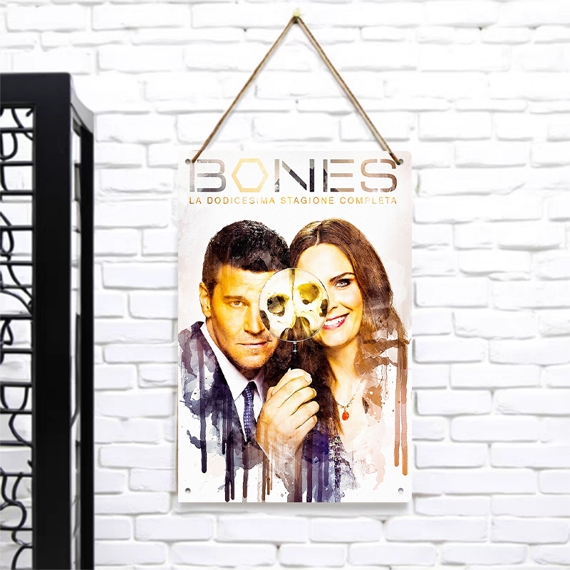 Bones Staffel 12, Poster, Meta – Vintage Collectible Tins Bewertung und Preis