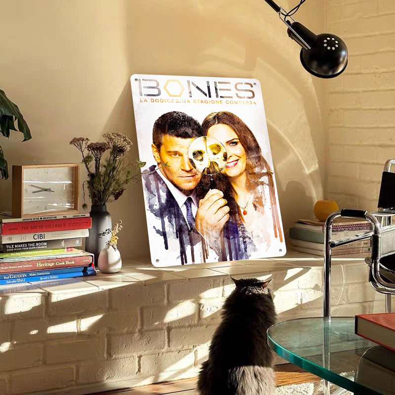 Bones Staffel 12, Poster, Meta – Vintage Collectible Tins Bewertung und Preis